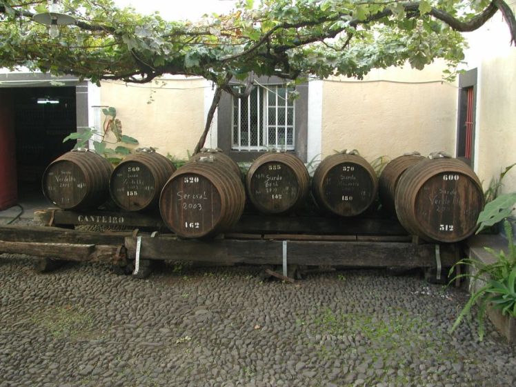 The Vinage of 2003, seen at ABSL